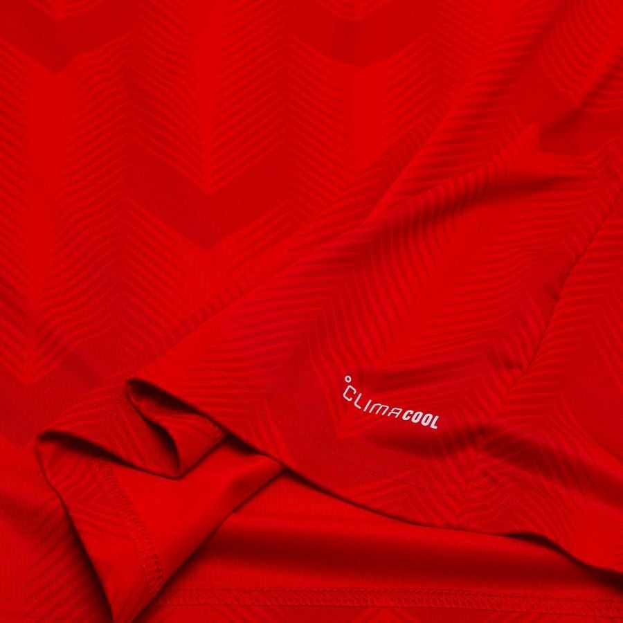 Chile Home Replica Jersey 2025/26 Adults